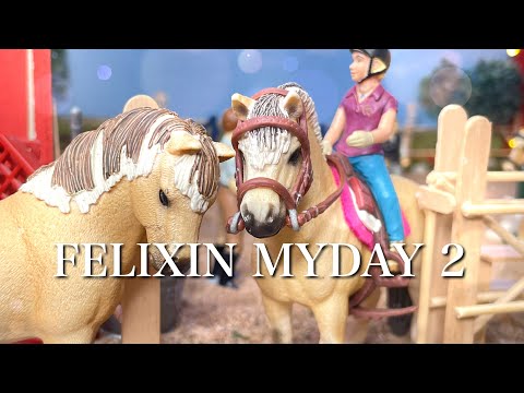 FELIXIN MYDAY 2
