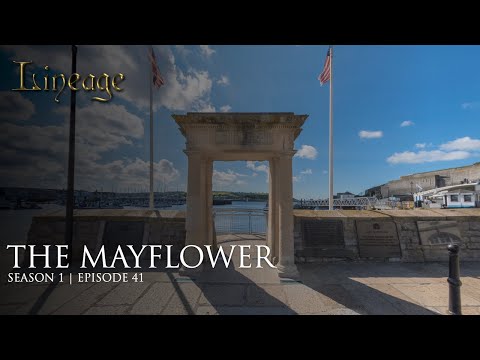 Video: Byli na Mayflower psi?