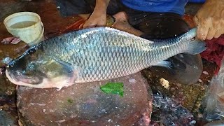 catla fish boneless cutting||catla big fish cutting||Catla Cutting||Fish Cutting Video.