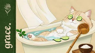 π Heal Yourself Softly | Lofi Beats for Focus & Calm Moments