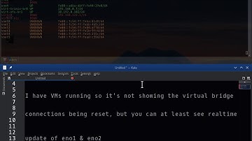 Bash Script pretty-ip added color to ip command - watch netplan Network Reset Example