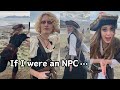 If i were an npc how would you interact  pirate edition 