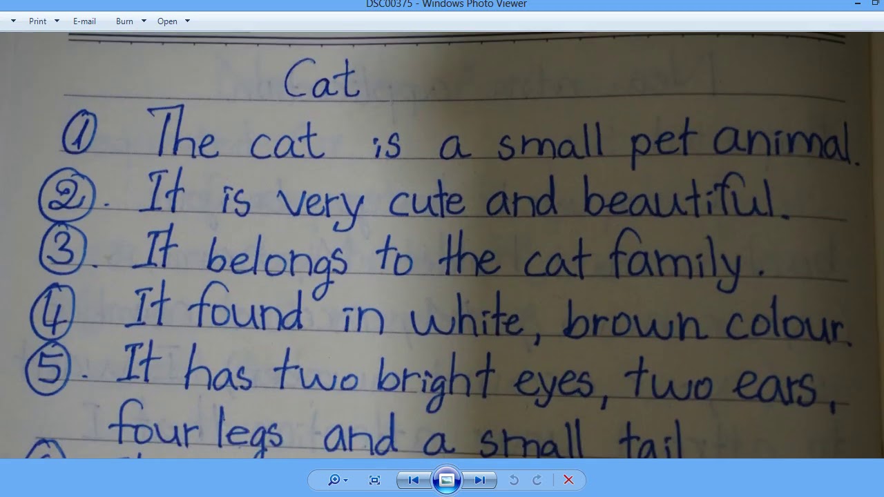 my pet cat essay 10 lines