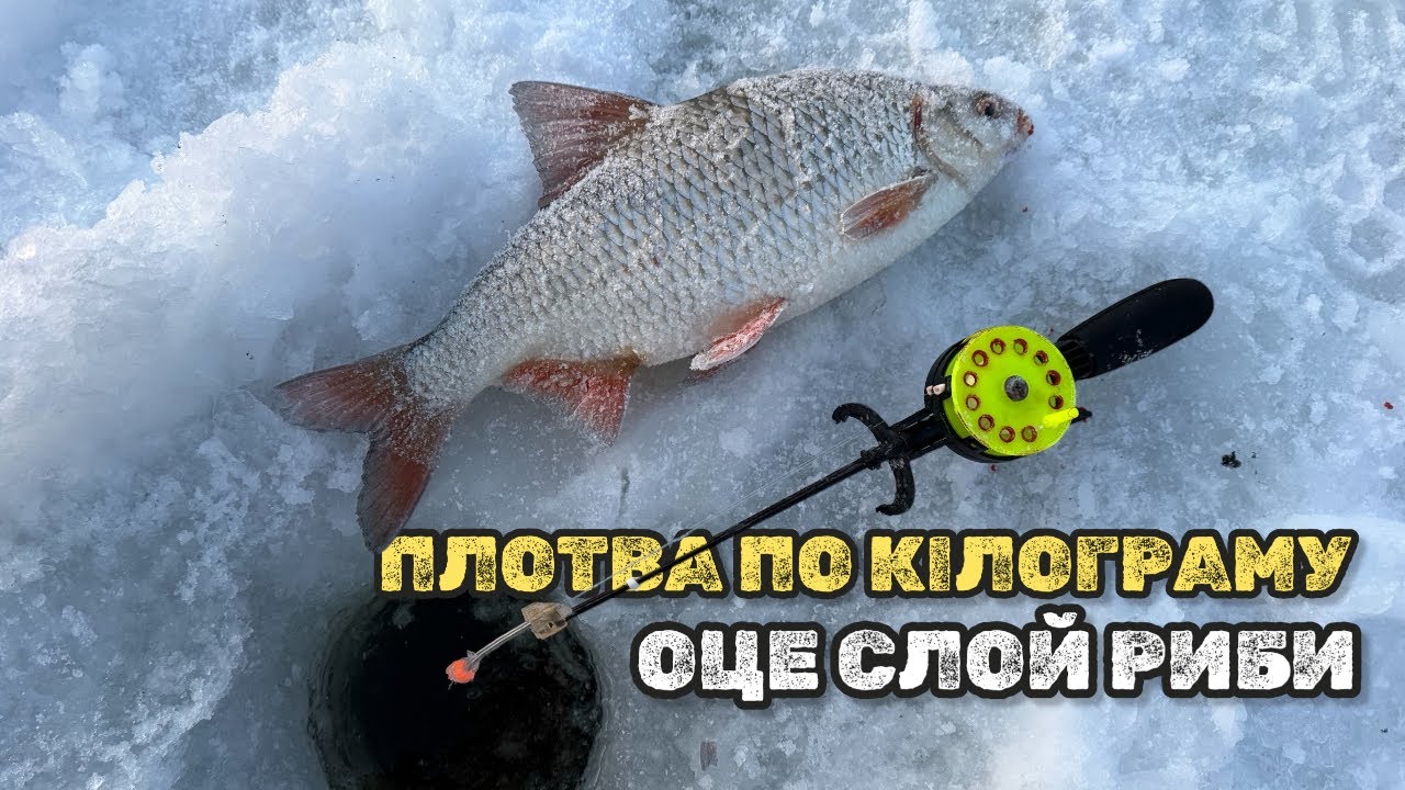 НАТРАПИЛИ НА ГІГАНТСЬКУ ПЛОТВУ! ЧЕРВОНИЙ ШАР РИБИ В ЕХОЛОТІ.