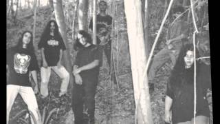 Silent Cry 1997 Tears Of Serenity Tape Brazil 1 Through 4