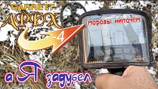 Копаем и в жару и в холода.#металлоискатель #apex #артефакты #монеты #поиск #клад