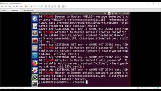 ITS 454 - How does the snort IDS work and how to trigger alerts