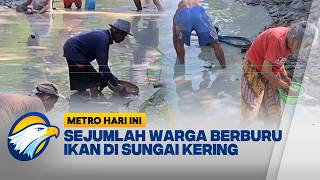 Air Bendungan Nambo Menyusut Warga Brebes Berburu Ikan Di Sungai | Metro Hari Ini