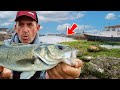 How to  find bass anywhere in the uk