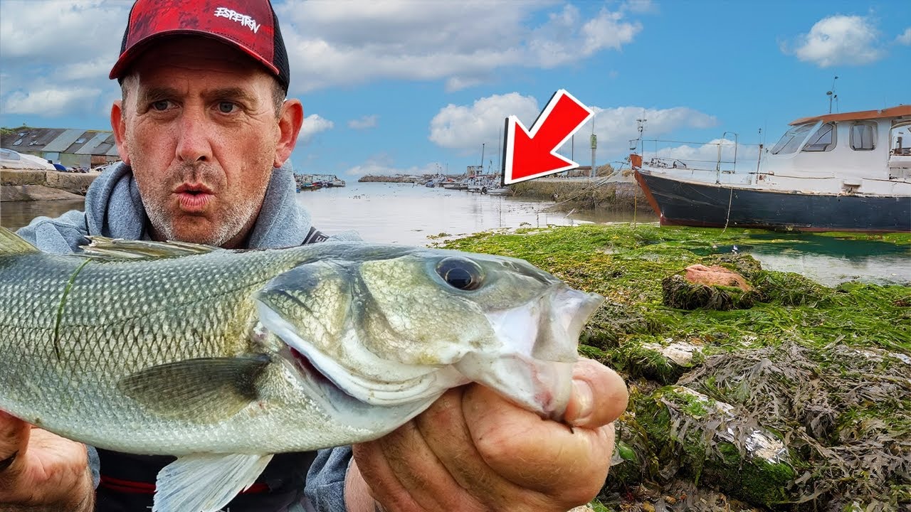 How To Find Bass Anywhere In The UK! YouTube