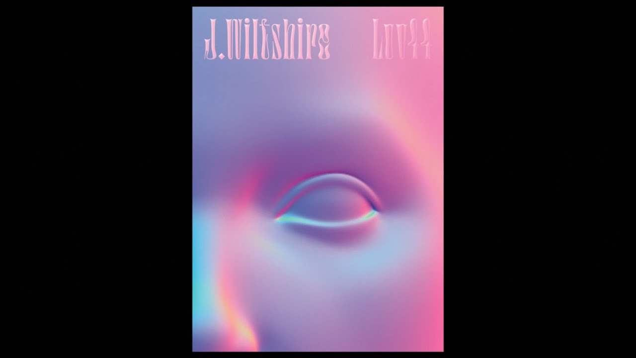 J Wiltshire - The Number Counters