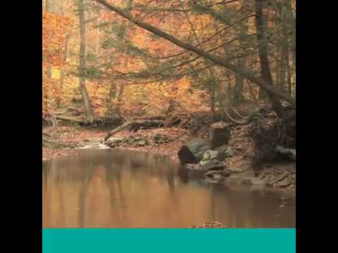 Nashida Afaan Oromo Hadiisaaf Qur Aan Yrahmaan Nu Bulchi Mikaa Il Saabit Ejeree