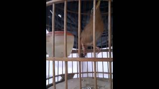 WP 20140507 004