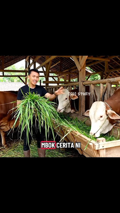 kelase wong ngaret, #funny #gemini #comedy #katakatabijak #ai #memes #katakatahariini #veo3 #shorts