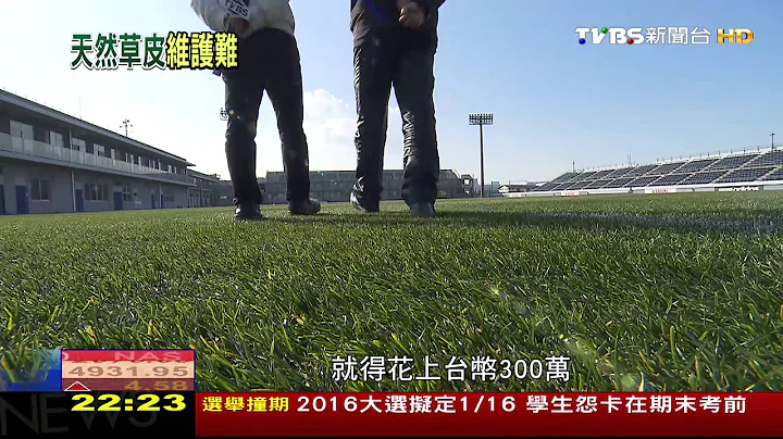 天然草vs 人工草　日專家：人工草CP值大勝 - 天天要聞