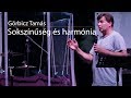 Görbicz Tamás: Sokszínűség és harmónia a római gyülekezetben - Tata 2017