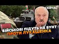 ☝️Почалось! Лукашенко готує ВТЕЧУ з МІНСЬКА. Домовився про ЕВАКУАЦІЮ. Потрібен МІСЯЦЬ - Мартинова