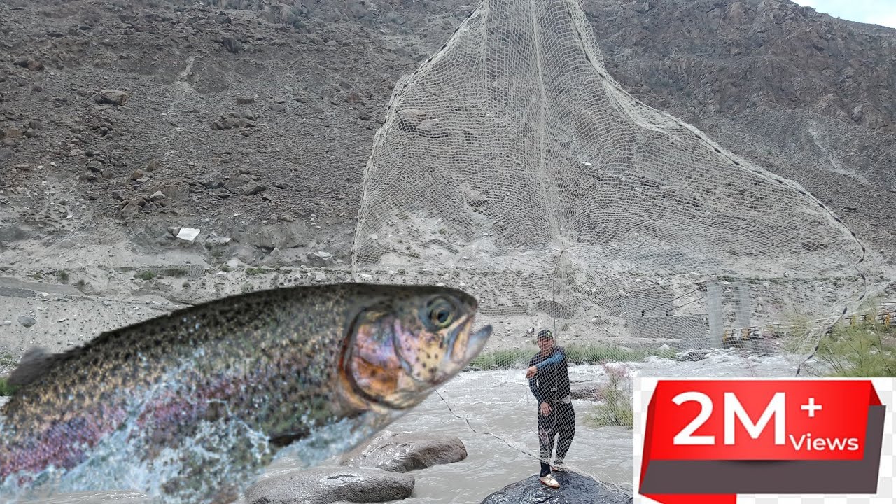 beautiful trout fish catching in gilgit Pakistan trout cast net