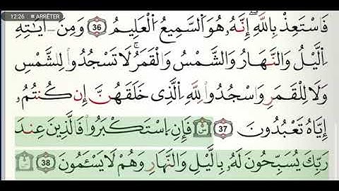 , سورة فصلت مكتوبة للشيخ ياسين الجزائري برواية ورش عن نافع