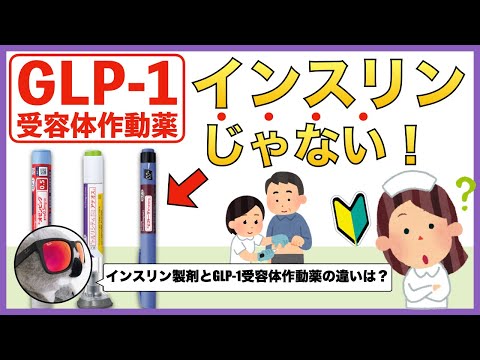 【糖尿病治療薬】GLP-1受容体作動薬ってどんなお薬？【インスリン製剤との違い】