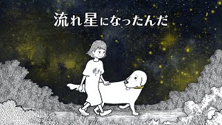 藍坊主「流れ星になったんだ」MV