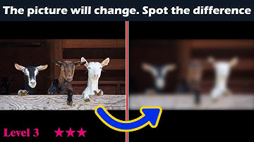 Spot the changing difference #537 | Pictures Puzzle | The photo will change | Brain training
