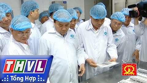 THVL | Chào buổi sáng: Thủ tướng Nguyễn Xuân Phúc thăm mô hình chế biến tôm tại Cà Mau