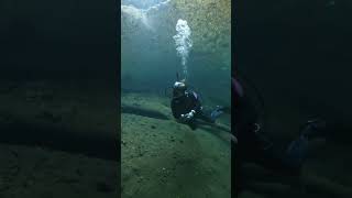 Would you date a NOT certified scuba diver?