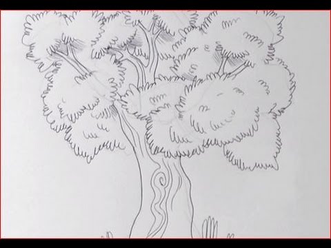 Artistico Disegni Di Natale A Matita.Disegnare Un Albero A Matita Youtube