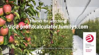 Lumilys Profit Calculator quickstart
