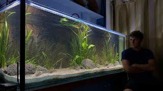 Creating a Planted River Bank in my Aquarium