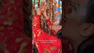 Tie Up Your New Year Wish To The Wishing Wall In At Paradise Gardens