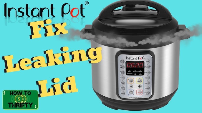 Am I missing something? HELP! My Pioneer Woman Instant Pot no longers holds  steam! It turns off after 2 minutes of building pressure! : r/instantpot