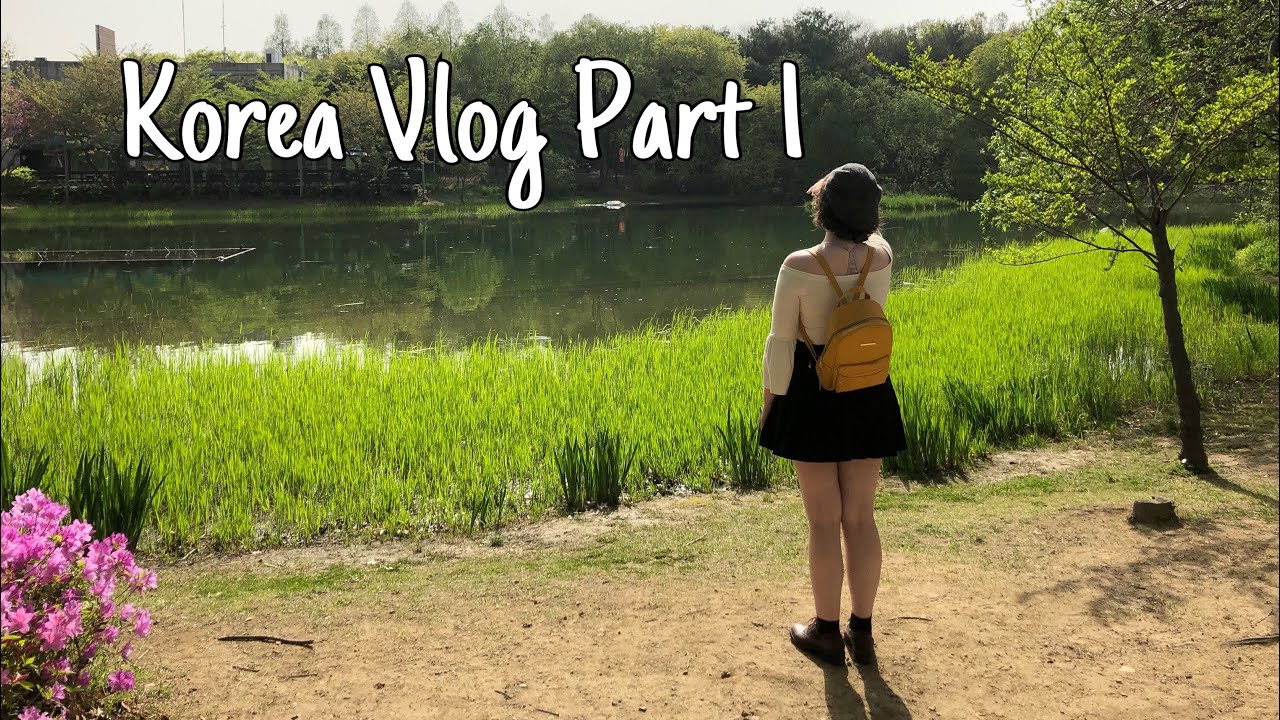 korea trip vlog