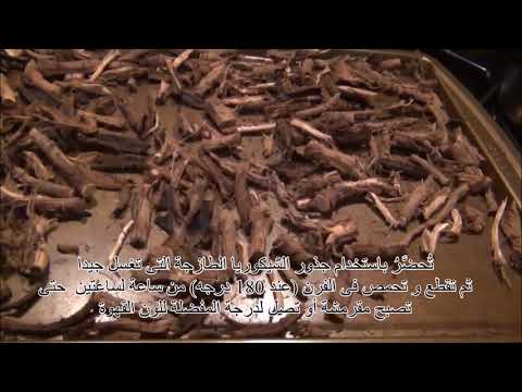 قهوة الشيكوريا أو السريس