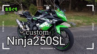 祝！ZX-25R発売 Ninjaシリーズの異端児Ninja250SL 紹介 忘れられた名車…。