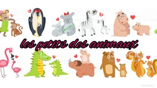 Les petits des animaux