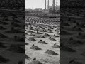هم رحلوا عنا ولم يرحلوا منا اللهم ارحم جميع موتى المسلمين امين