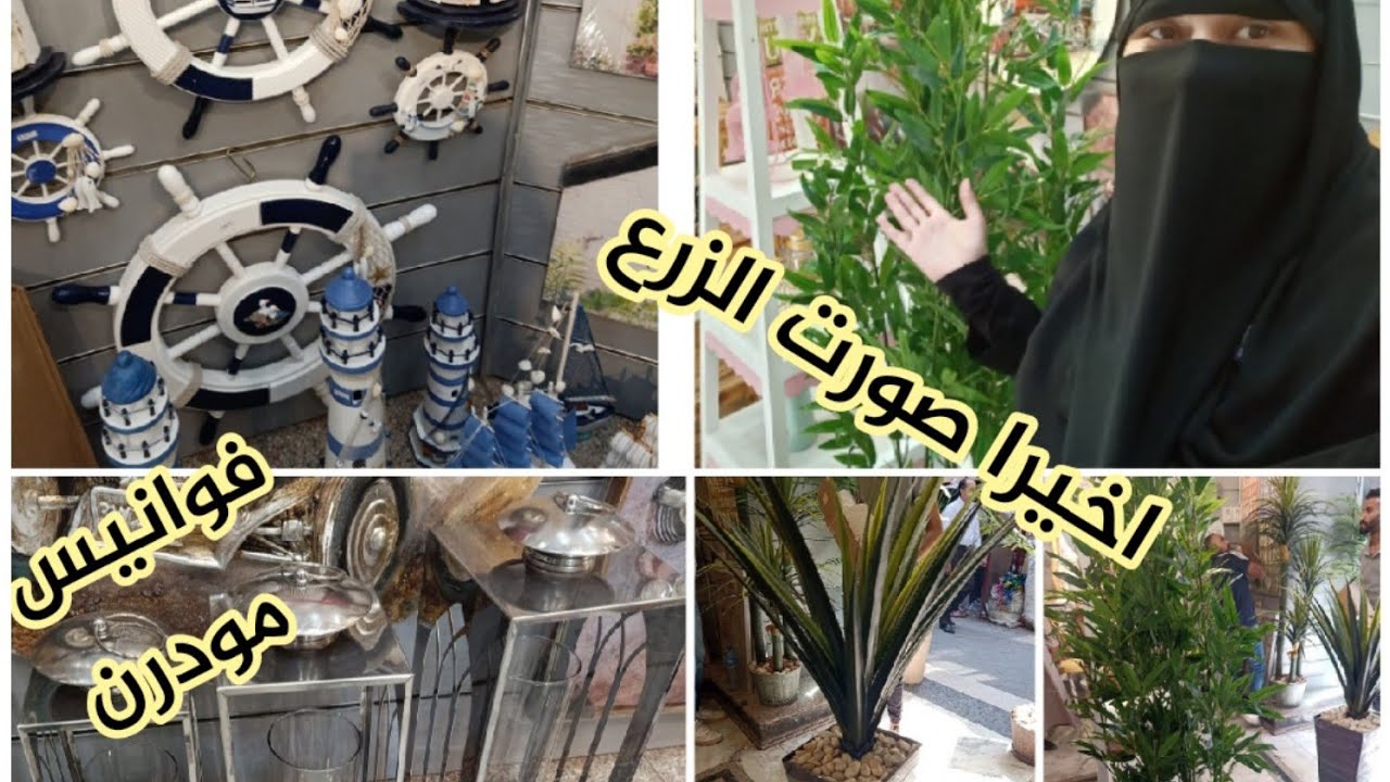 جوله في درب البرابرة  الزرع  المستورد و المصري وديكورات البحر كمان و خصم ١٠ ٪ #جوله _درب البرابرة
