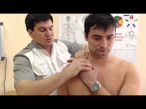 Зачем нужна подключичная мышца?  Why subclavian muscle?