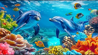 Relaxing music and seabed 🎵 Calm the mind 🎵 Beautiful Coral Reef Fish - Stress Relief #3