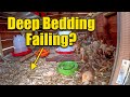 Chicken Coop Deep Bedding is Yours Failing