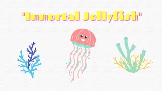 'Immortal Jellyfish' by The World of Animals 11 views 1 year ago 57 seconds