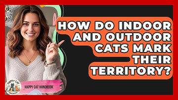 How Do Indoor And Outdoor Cats Mark Their Territory? - Happy Cat Handbook