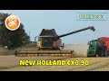 Harvest 2021 | New Holland CX8.90 harvesting barley