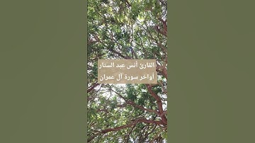 أواخر سورة آل عمران #القرآن_الكريم #قصص
