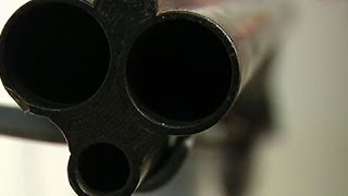 Artists Take Aim at Gun Violence