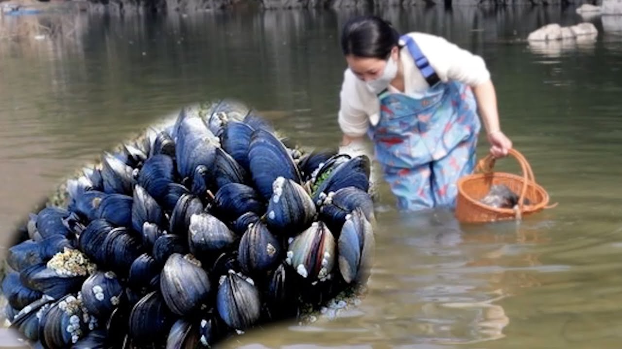 The girl found an old clam that had been sleeping for 1100 years and collected many pearls