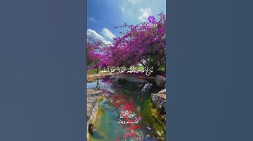 تلاوة تخلّي قلبك يخشع من أول حرف.. بصوت الشيخ عمر قريطنة ✨