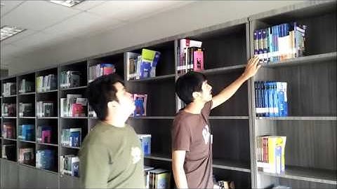 Common bias in decision making